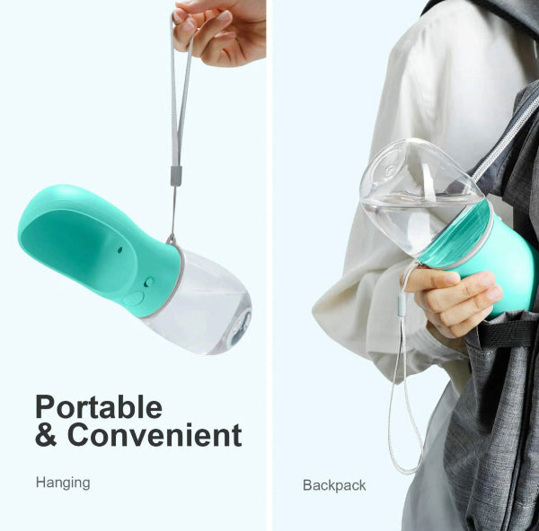 Portable Water Bottle