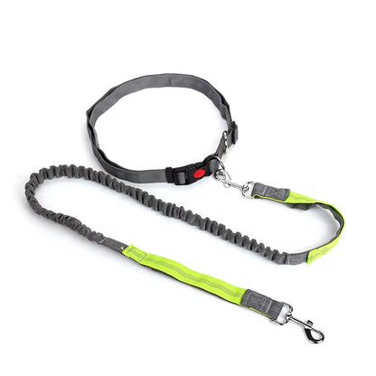 Walking Hands Free Leash