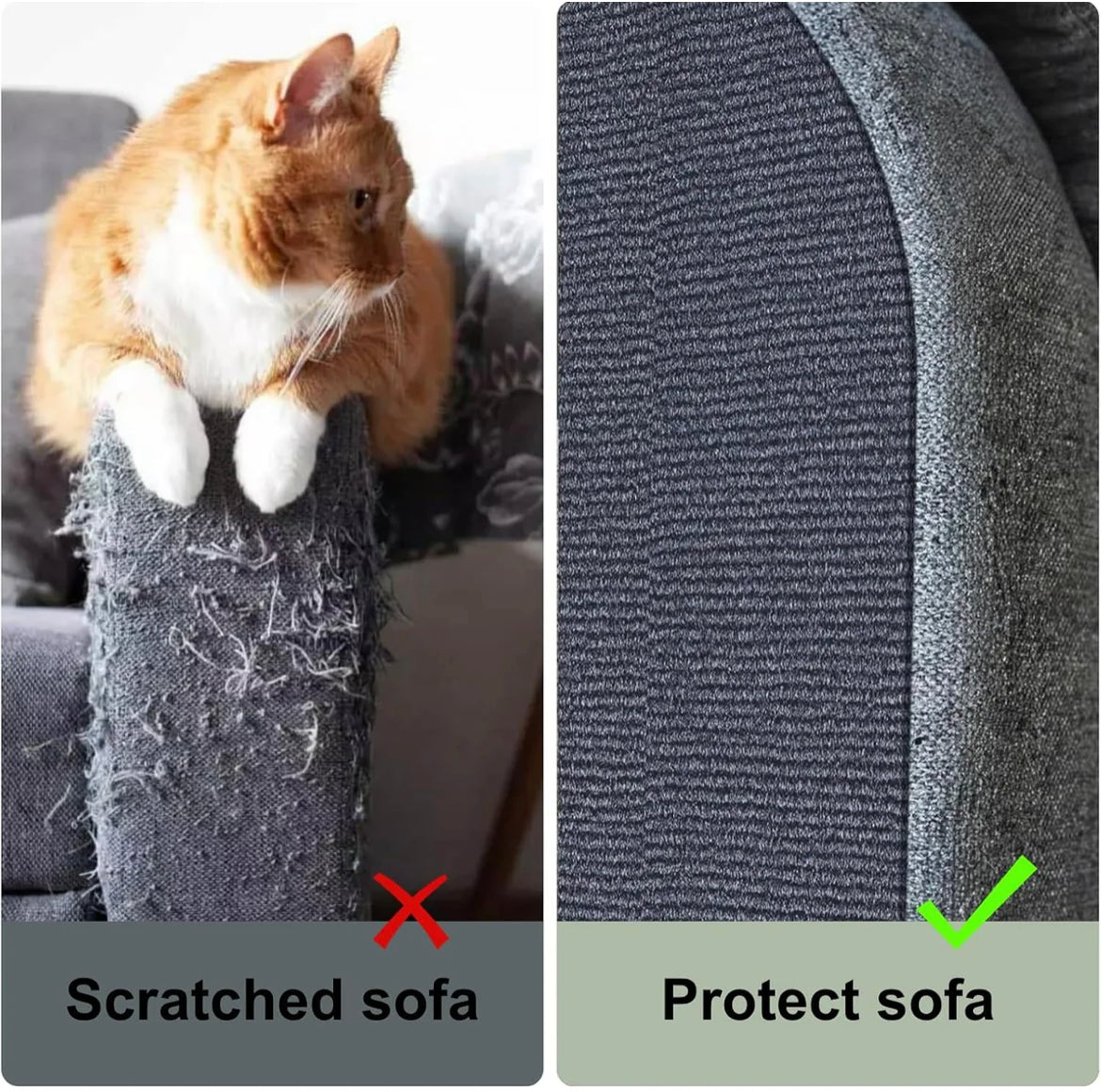 Couch Protection