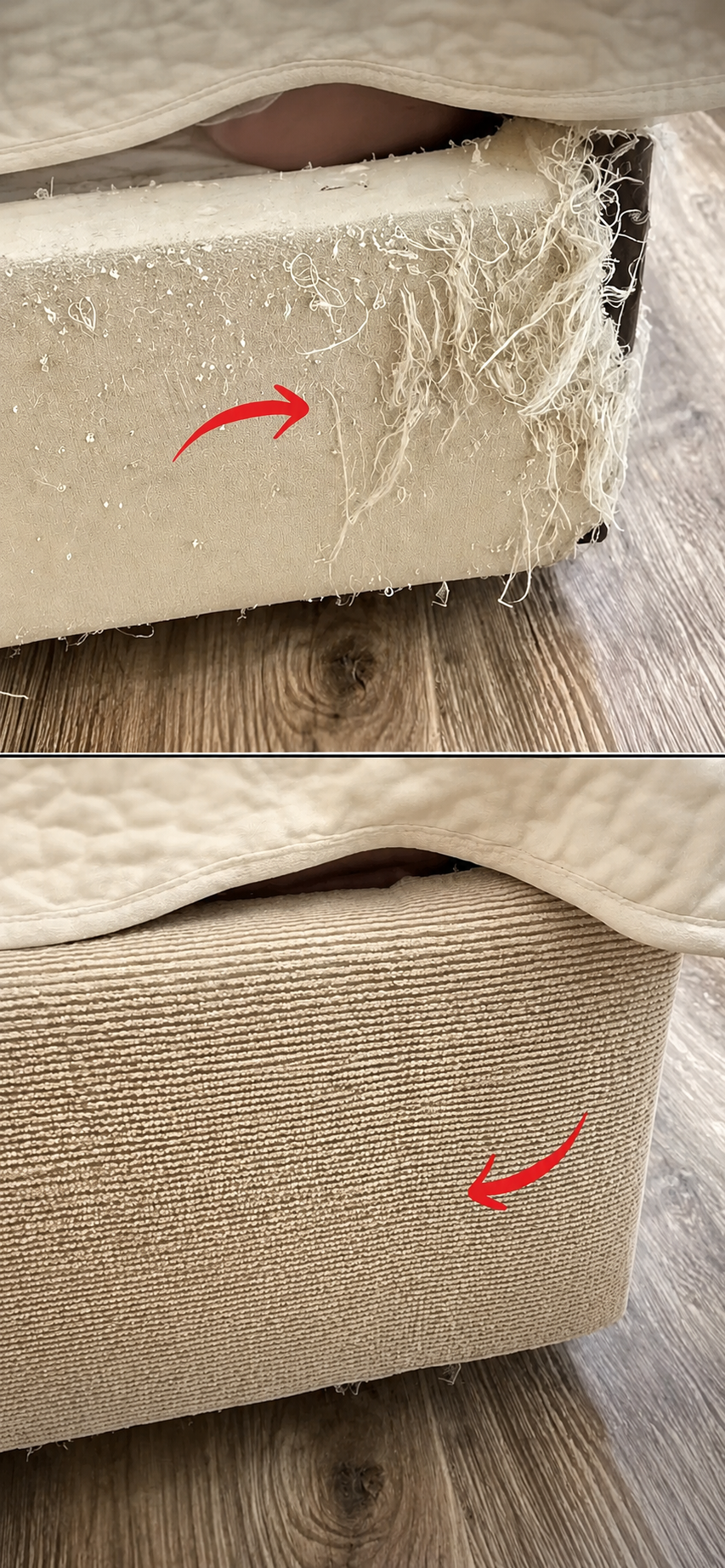 Couch Protection