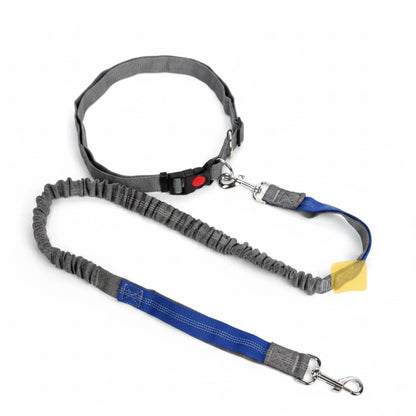 Walking Hands Free Leash