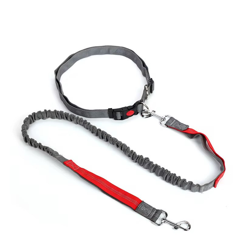Walking Hands Free Leash