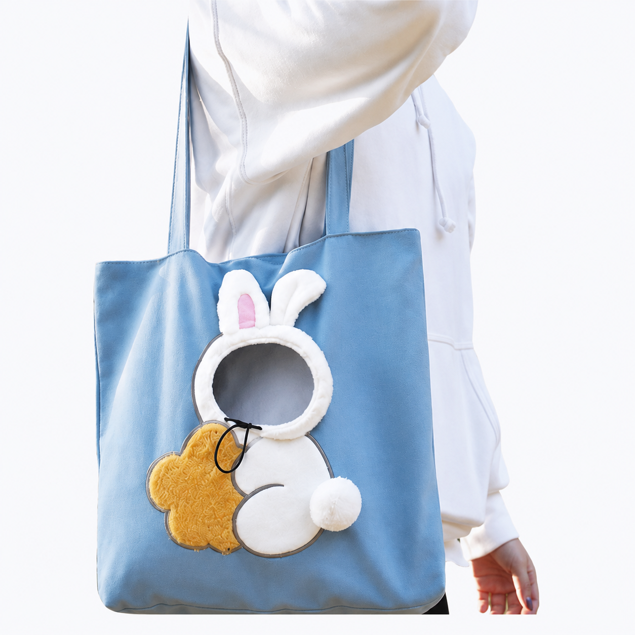 Pet Carry Bag